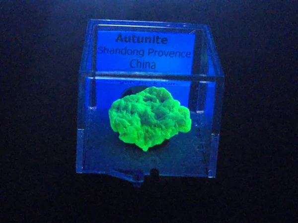 Autunite Crystal in Perky Box, 2.5 Grams – Fluorescent Uranium Ore