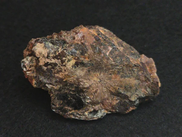 Fergusonite-(Y) Crystals in Matrix – J.G. Gole Quarry, Ontario, Canada -37 Grams - Image 3