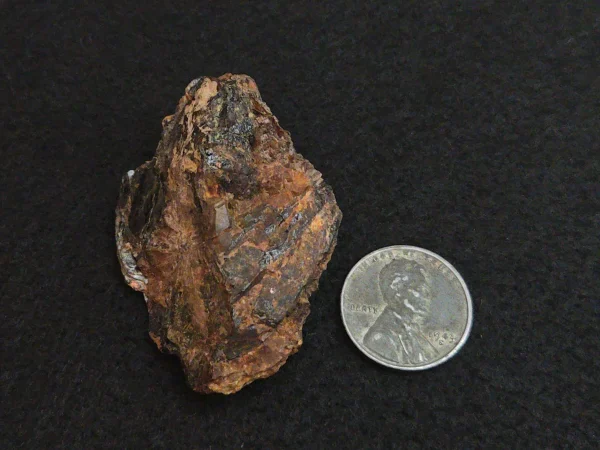 Fergusonite-(Y) Crystals in Matrix – J.G. Gole Quarry, Ontario, Canada -37 Grams - Image 8
