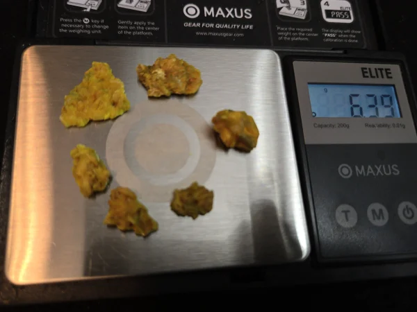 7 Piece Autunite Lot ~ Fluorescent Uranium Ore