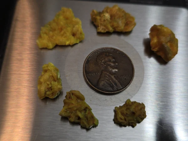 6 Piece Autunite Lot  ~ Fluorescent Uranium Ore - Image 5
