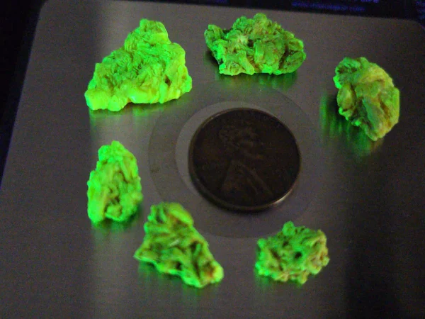 6 Piece Autunite Lot  ~ Fluorescent Uranium Ore - Image 6