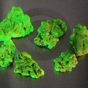 7 Piece Autunite Lot ~ Fluorescent Uranium Ore