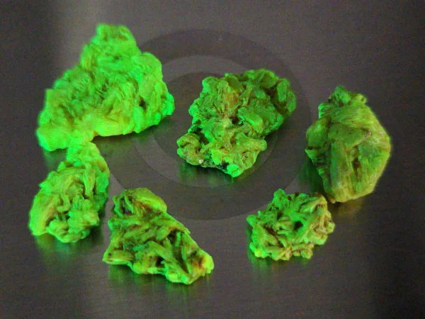 7 Piece Autunite Lot ~ Fluorescent Uranium Ore