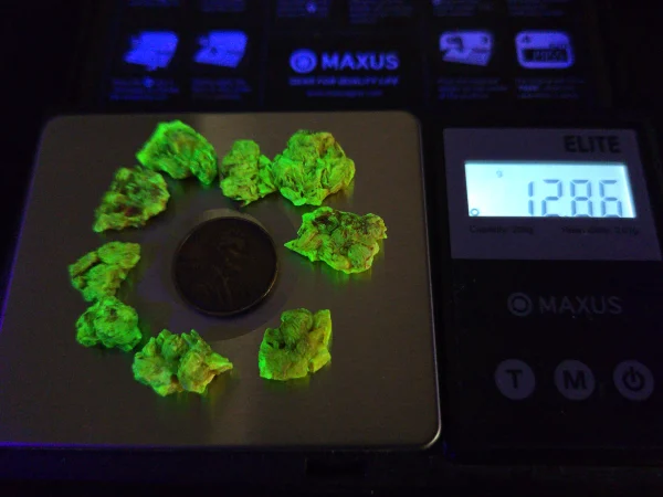 9 Piece Autunite Lot  ~ Fluorescent Uranium Ore - Image 3