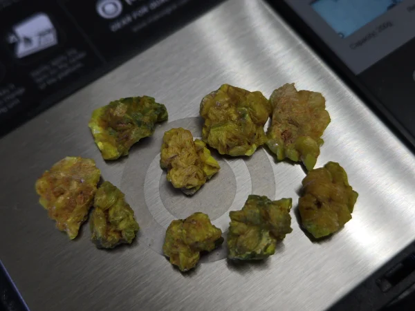 9 Piece Autunite Lot  ~ Fluorescent Uranium Ore - Image 4