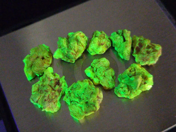 9 Piece Autunite Lot ~ Fluorescent Uranium Ore