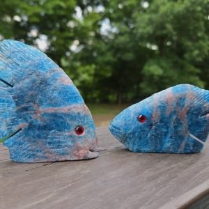 Apatite Crystal Pair with Unknown Radioisotope(s) - 298 Grams