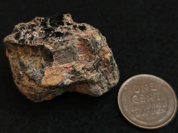 Fergusonite-(y) Crystals in Matrix  North Carolina USA - Image 9