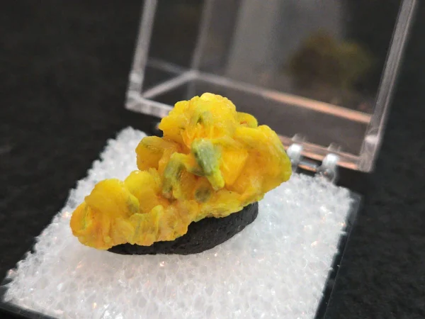 Autunite Crystal in Perky Box, 5 Grams – Fluorescent Uranium Ore - Image 5