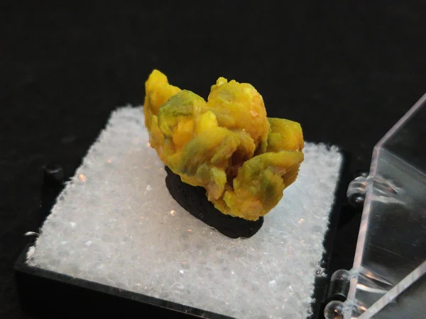 Autunite Crystal in Perky Box, 5 Grams – Fluorescent Uranium Ore - Image 6