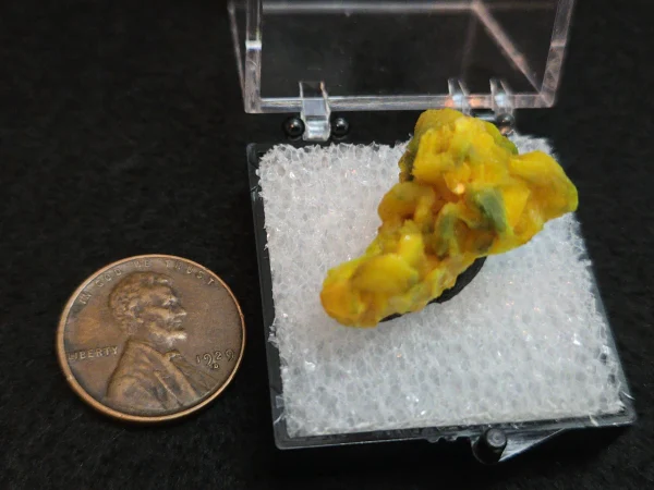 Autunite Crystal in Perky Box, 5 Grams – Fluorescent Uranium Ore - Image 7