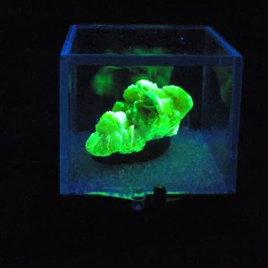 Autunite Crystal in Perky Box, 5 Grams – Fluorescent Uranium Ore