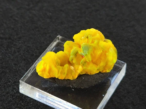 Autunite Crystal in Perky Box, 5 Grams – Fluorescent Uranium Ore - Image 9