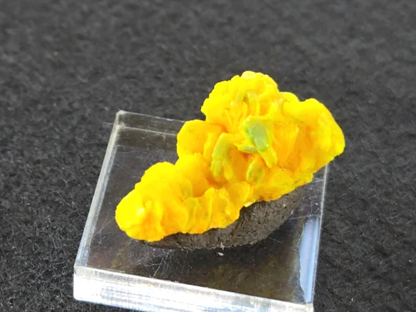 Autunite Crystal in Perky Box, 5 Grams – Fluorescent Uranium Ore - Image 2