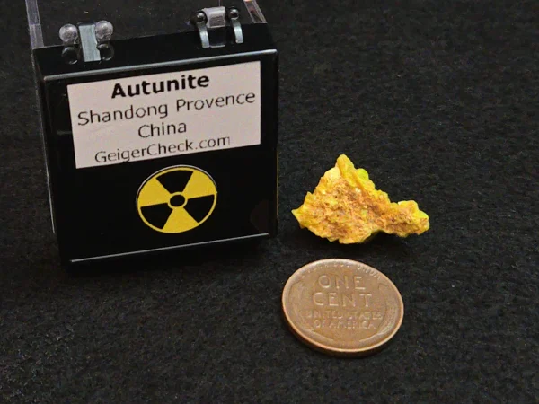 Autunite Crystal in Perky Box, 2 Grams – Fluorescent Uranium Ore - Image 9