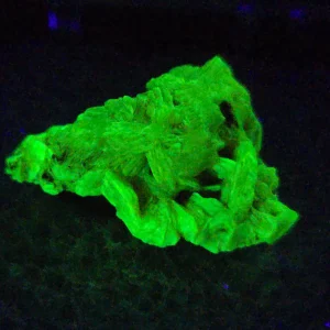 Autunite Crystal in Perky Box, 2 Grams – Fluorescent Uranium Ore