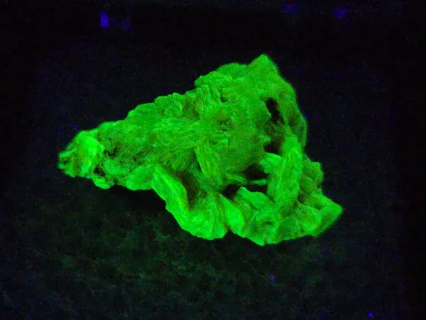 Autunite Crystal in Perky Box, 2 Grams – Fluorescent Uranium Ore