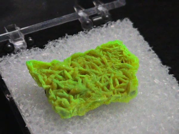 Autunite Crystal in Perky Box, 1.8 Grams – Fluorescent Uranium Ore - Image 3