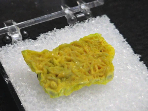 Autunite Crystal in Perky Box, 1.8 Grams – Fluorescent Uranium Ore - Image 4