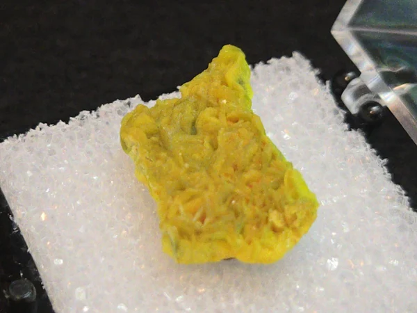 Autunite Crystal in Perky Box, 1.8 Grams – Fluorescent Uranium Ore - Image 2