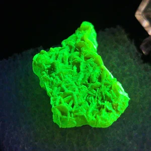 Autunite Crystal in Perky Box, 1.8 Grams – Fluorescent Uranium Ore