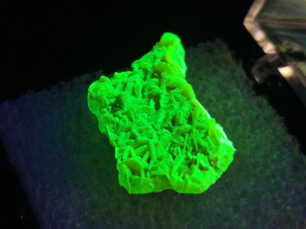 Autunite Crystal in Perky Box, 1.8 Grams – Fluorescent Uranium Ore