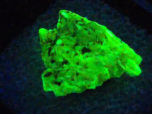 Autunite Crystal in Perky Box, 2.5 Grams – Fluorescent Uranium Ore