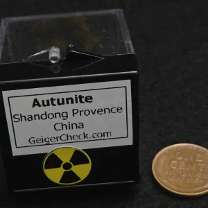 Autunite Crystal in Perky Box, 5 Grams – Fluorescent Uranium Ore