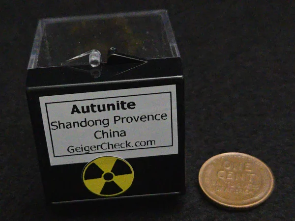 Autunite Crystal in Perky Box, 5 Grams – Fluorescent Uranium Ore