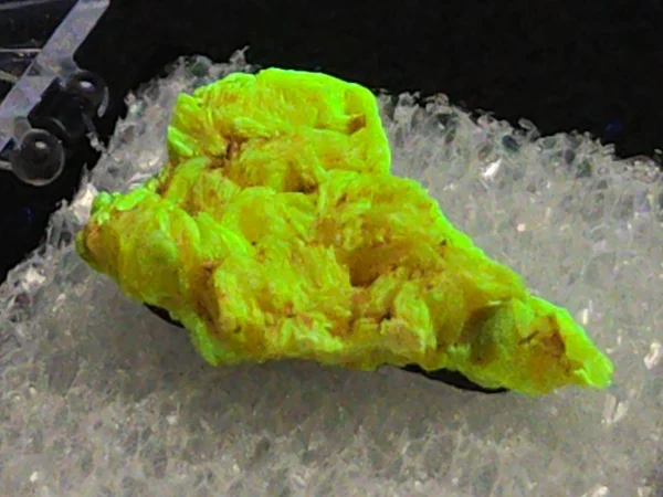 Autunite Crystal in Perky Box, 2.4 Grams – Fluorescent Uranium Ore