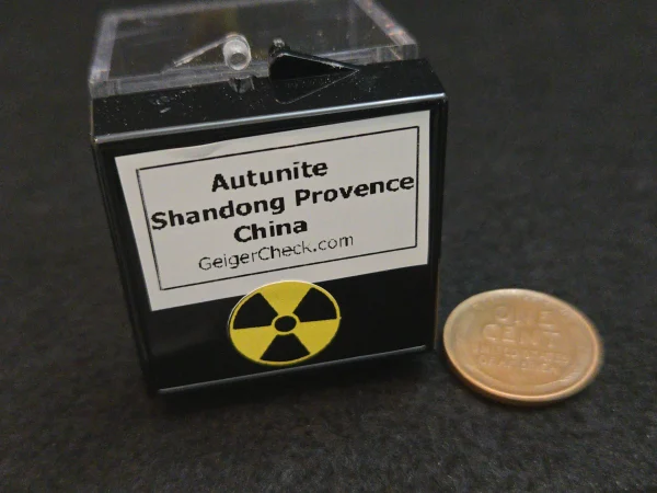 Autunite Crystal in Perky Box, 2.4 Grams – Fluorescent Uranium Ore
