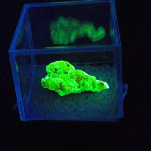 Autunite Crystal in Perky Box, 2.4 Grams – Fluorescent Uranium Ore