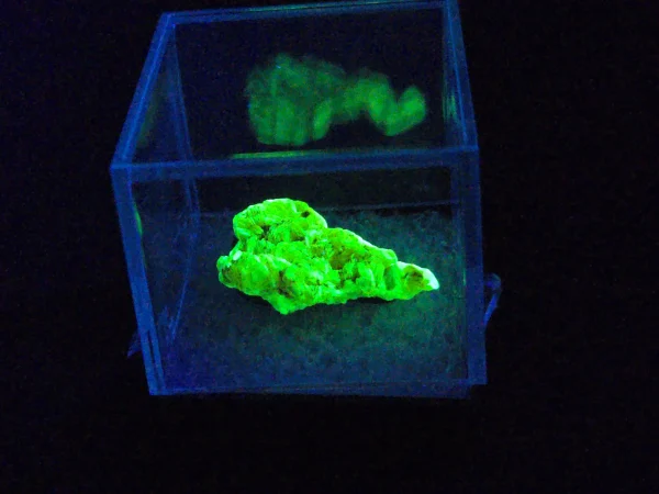 Autunite Crystal in Perky Box, 2.4 Grams – Fluorescent Uranium Ore