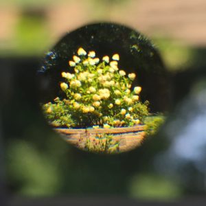 Thoriated Glass Lens from Vintage Projector - Thorium-232