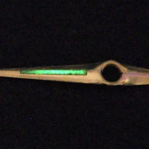 Radium-Lumed Clock Hand, Ra-226 Source