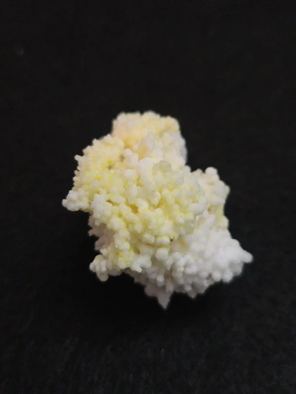Boltwoodite on Gypsum - China - Image 4