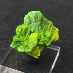 Lamellar Autunite Crystal in Perky Box – Fluorescent Uranium Ore, 10 Grams