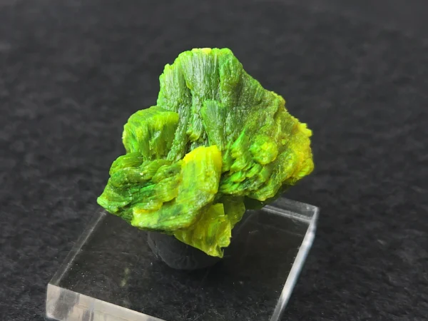 Lamellar Autunite Crystal in Perky Box – Fluorescent Uranium Ore, 10 Grams