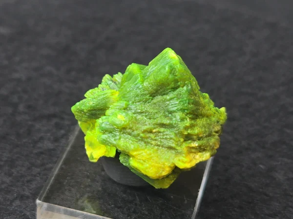 Lamellar Autunite Crystal in Perky Box – Fluorescent Uranium Ore, 10 Grams - Image 7