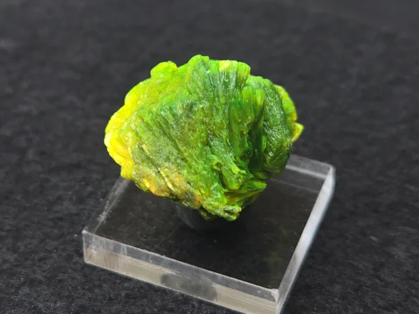 Lamellar Autunite Crystal in Perky Box – Fluorescent Uranium Ore, 10 Grams - Image 5