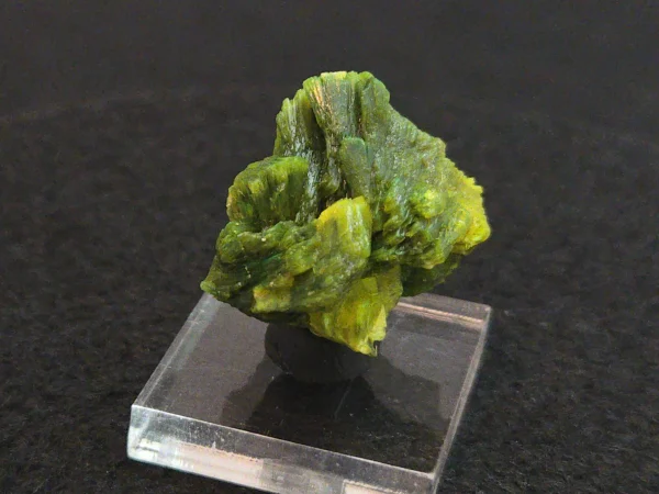 Lamellar Autunite Crystal in Perky Box – Fluorescent Uranium Ore, 10 Grams - Image 3
