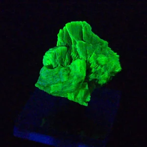 Lamellar Autunite Crystal in Perky Box – Fluorescent Uranium Ore, 10 Grams