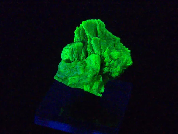 Lamellar Autunite Crystal in Perky Box – Fluorescent Uranium Ore, 10 Grams