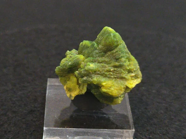 Lamellar Autunite Crystal in Perky Box – Fluorescent Uranium Ore, 10 Grams - Image 8