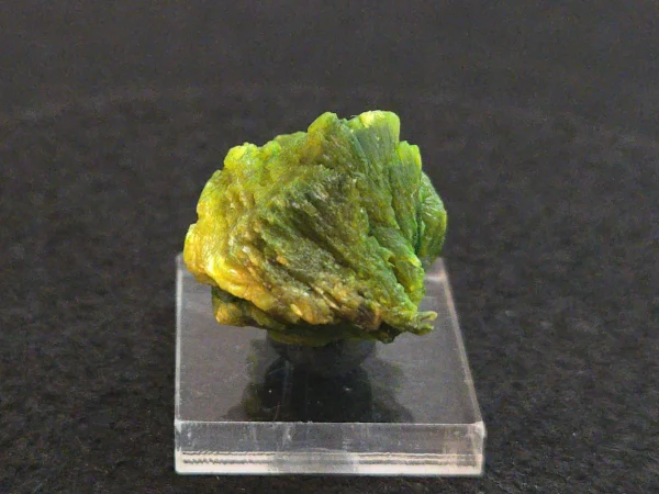 Lamellar Autunite Crystal in Perky Box – Fluorescent Uranium Ore, 10 Grams - Image 10