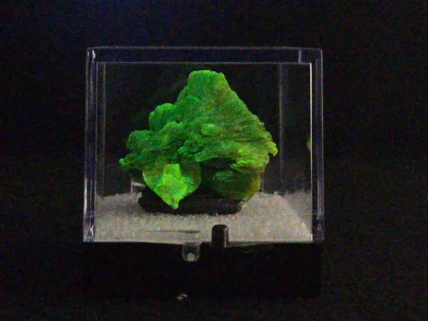 Lamellar Autunite Crystal in Perky Box – Fluorescent Uranium Ore, 10 Grams - Image 15