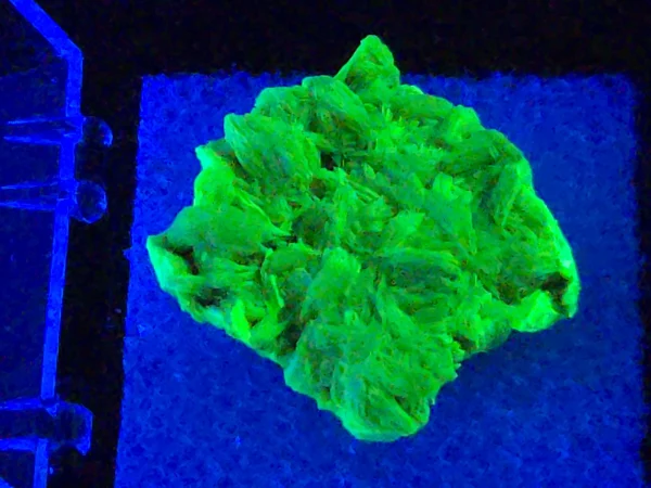 Autunite Crystal in Perky Box, 4 Grams – Fluorescent Uranium Ore