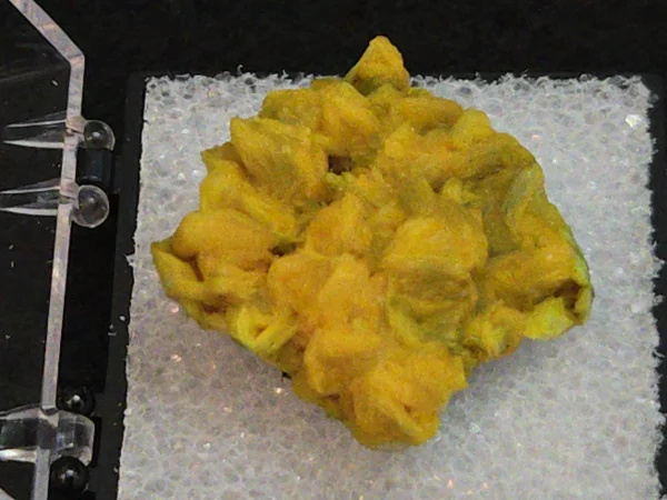 Autunite Crystal in Perky Box, 4 Grams – Fluorescent Uranium Ore - Image 4