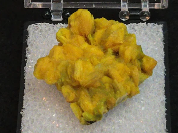 Autunite Crystal in Perky Box, 4 Grams – Fluorescent Uranium Ore - Image 2
